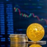 daily crypto sports